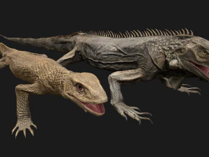 Reptile set 3D Model