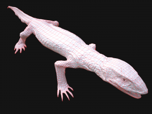 Reptile set 3D मॉडल
