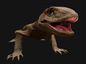 Reptile set 3D Model