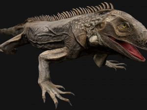 Reptile set 3D मॉडल