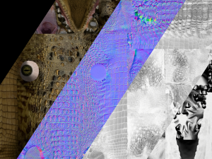 Crocodile Model 3D