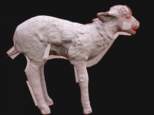 Fawn Deer 3D मॉडल