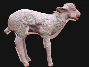 Fawn Deer 3D Model