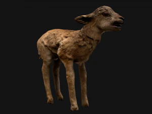 Deer and Crocodile Herbivore and Predator 3D Model