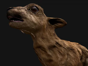 Deer and Crocodile Herbivore and Predator 3D Model