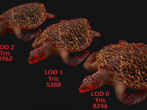 Turtle 3D Model