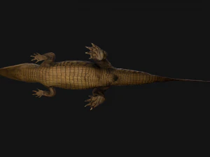 Turtle and Crocodile 3D Model