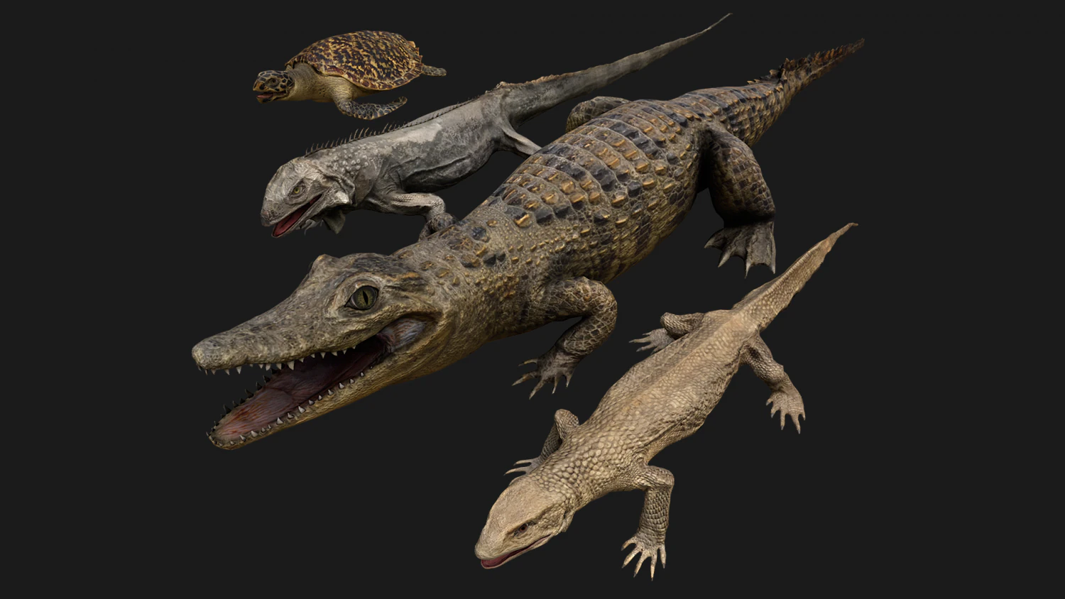 Reptile Pack Crocodile Iguana Turtle Varanus 3D Model .c4d .max .obj .3ds .fbx .stl .blend 