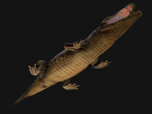 Reptile Pack Crocodile Iguana Turtle Varanus 3D Model