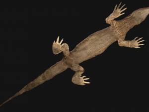 Reptile Pack Crocodile Iguana Turtle Varanus 3D Model