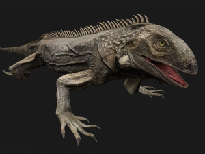 Reptile Pack Crocodile Iguana Turtle Varanus 3D Model