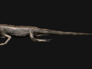 Reptile Pack Crocodile Iguana Turtle Varanus 3D Model