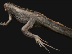 Reptile Pack Crocodile Iguana Turtle Varanus 3D Model
