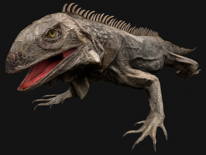 Reptile Pack Crocodile Iguana Turtle Varanus 3D Model