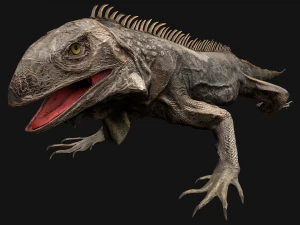 Reptile Pack Crocodile Iguana Turtle Varanus 3D Model