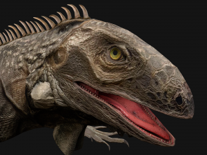 Reptile Pack Crocodile Iguana Turtle Varanus 3D Model