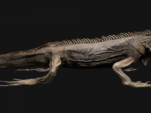 Reptile Pack Crocodile Iguana Turtle Varanus 3D Model