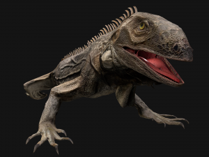 Reptile Pack Crocodile Iguana Turtle Varanus 3D Model