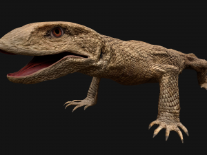 Reptile Pack Crocodile Iguana Turtle Varanus 3D Model