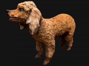 Dog Cockapoo Cocker Spaniel Mix Poodle Modelo 3D