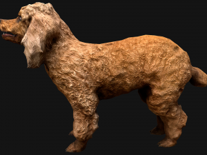 Dog Cockapoo Cocker Spaniel Mix Poodle Modelo 3D