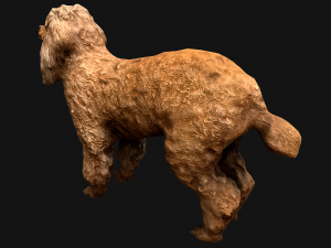 Dog Cockapoo Cocker Spaniel Mix Poodle Modelo 3D