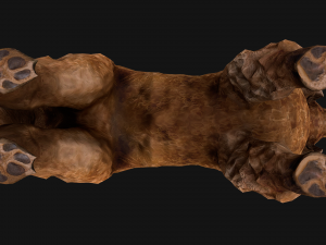 Dog Cockapoo Cocker Spaniel Mix Poodle Modelo 3D