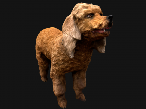 Dog Cockapoo Cocker Spaniel Mix Poodle Modelo 3D
