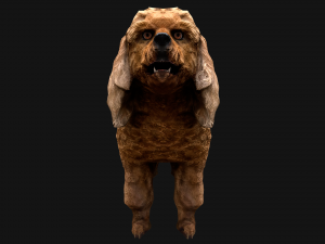 Dog Cockapoo Cocker Spaniel Mix Poodle Modelo 3D
