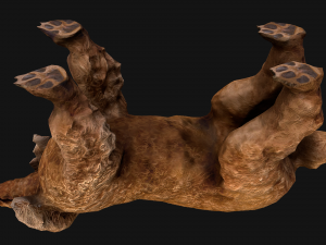 Dog Cockapoo Cocker Spaniel Mix Poodle Modelo 3D