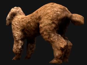 Dog Cockapoo Cocker Spaniel Mix Poodle Modelo 3D