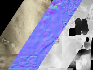 Weasel Ermine 3D Model