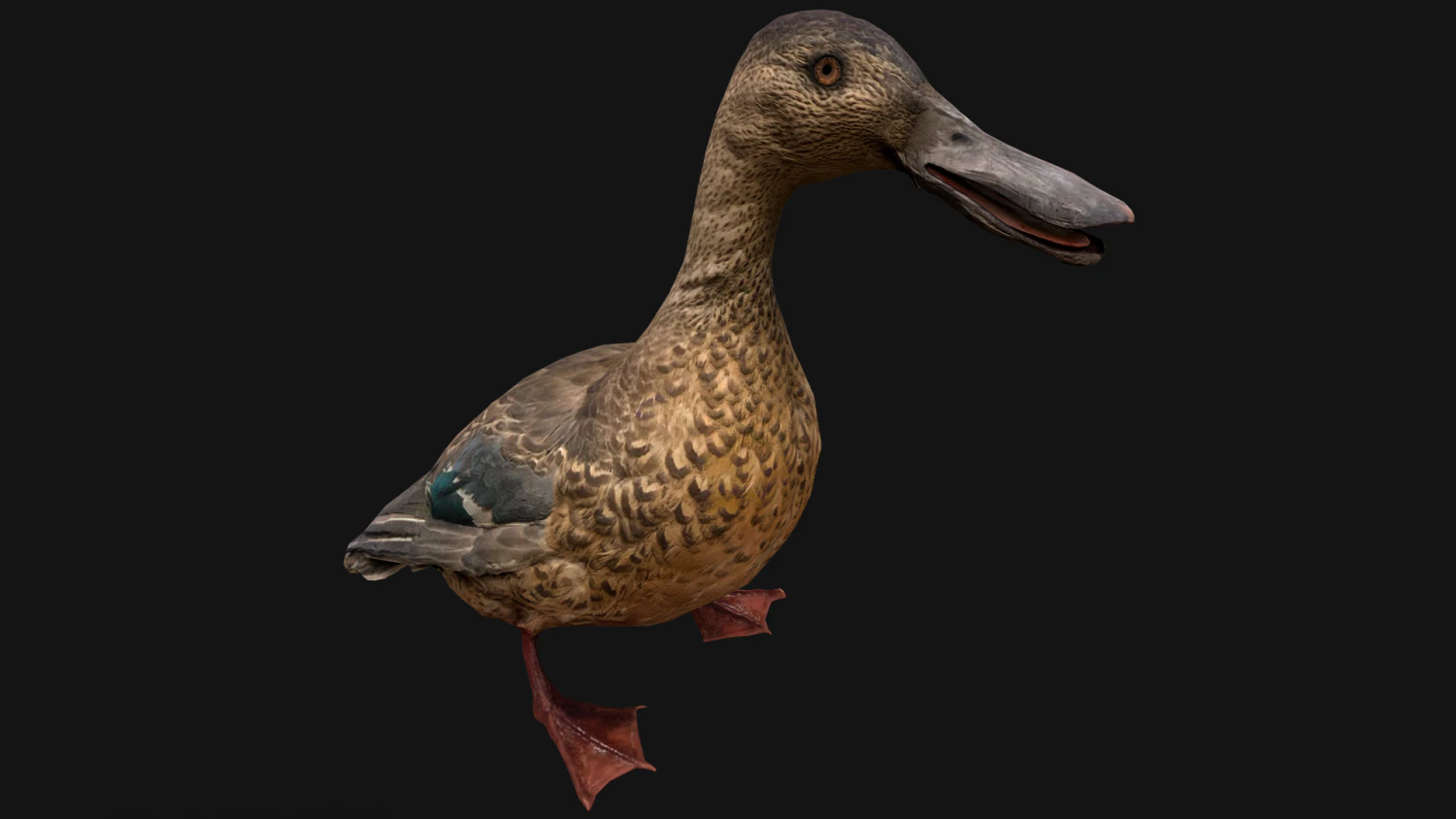 Duck Wild Bird 3D Model .c4d .max .obj .3ds .fbx .stl .blend 