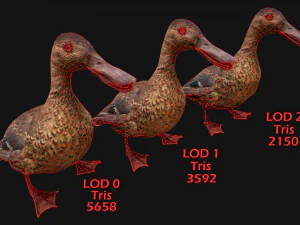 Duck Wild Bird 3D Model