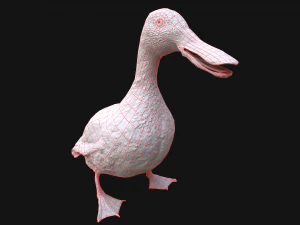 Duck Wild Bird 3D Model