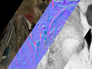 Duck Wild Bird Modèle 3D