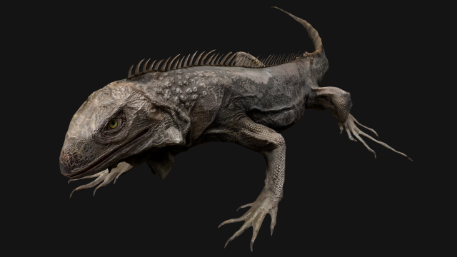 Iguana Reptile Animated 3D Модель .c4d .max .obj .3ds .fbx .stl .blend 