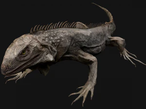 Animasi Reptil Iguana Model 3D