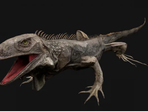 Iguana Reptile Animated 3D Model