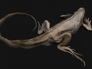Iguana Reptile Animated 3D Модель