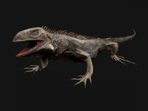 Iguana Reptile Animated 3D Model