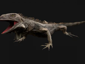 Iguana Reptile Animated 3D Model