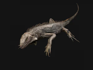 Iguana Reptile Animated 3D Model