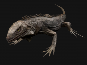Iguana Reptile Animated 3D Модель