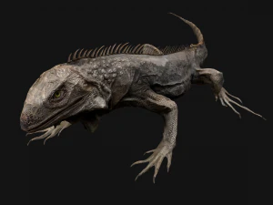 Iguana Reptile Animated 3D Model
