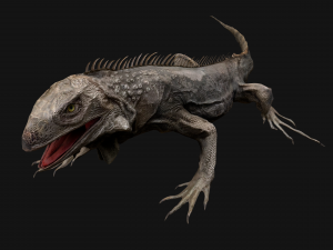 Iguana Reptile Animated 3D Модель