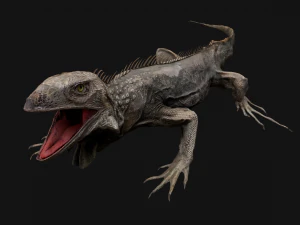 Iguana Reptile Animated 3D Model