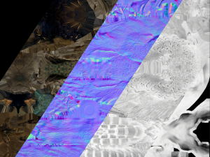 Pheasant Bird 3Dモデル