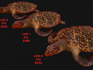 Turtle Reptile Animated 3D Model