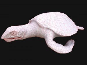 Turtle Reptile Animated 3D 模型